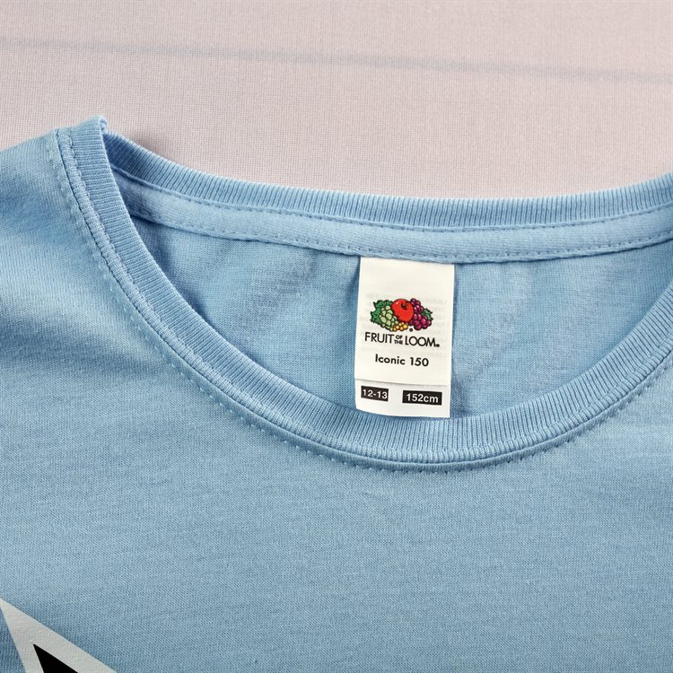 Kids Iconic 150 Fruit of the Loom T-Shirt Kids Iconic 150 Fruit of the Loom T-Shirt