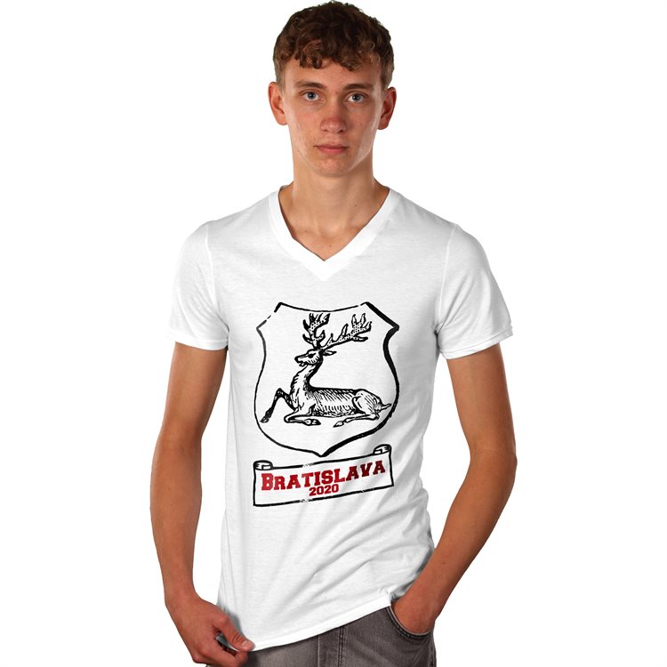 Budget Men's V- Neck Budget Men's V- Neck