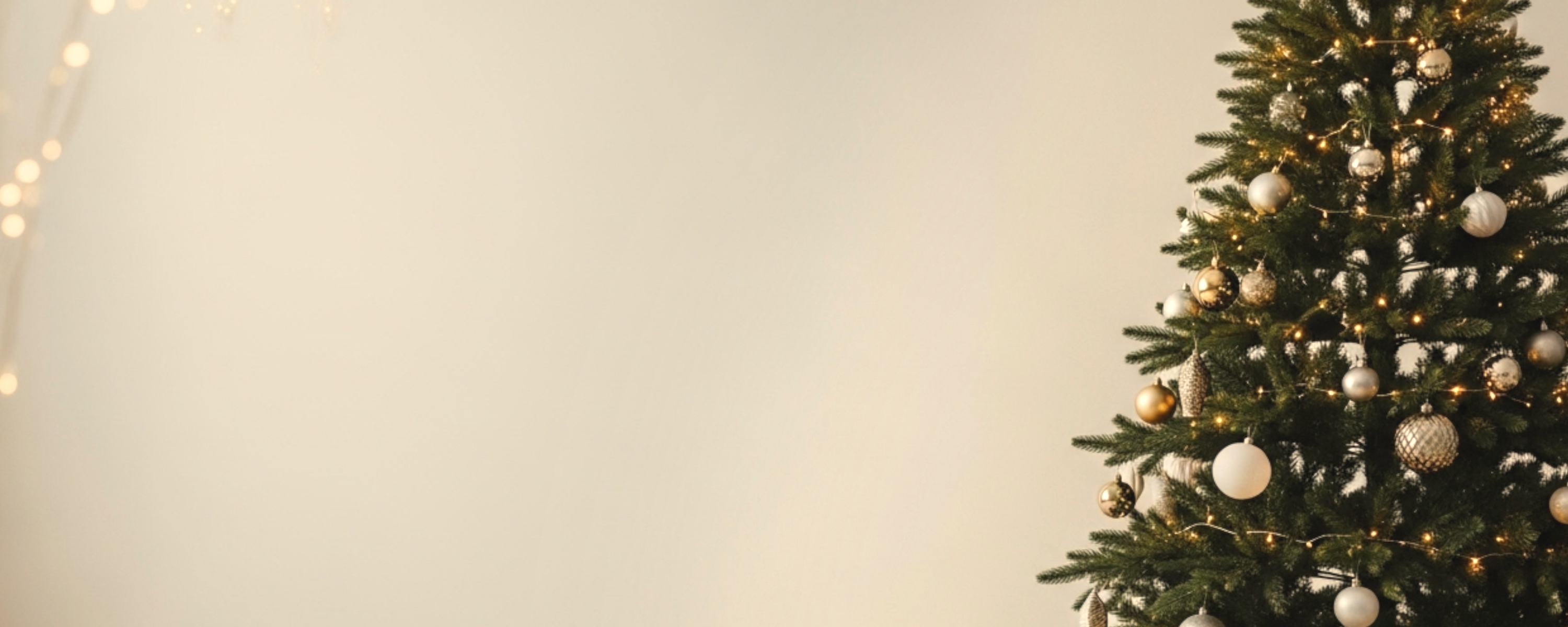 background image background image